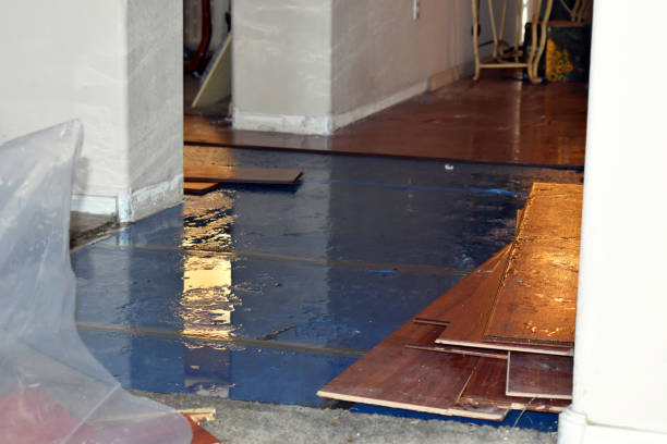 Professional Basement Flood Cleanup technician working in Brownsdale, MN